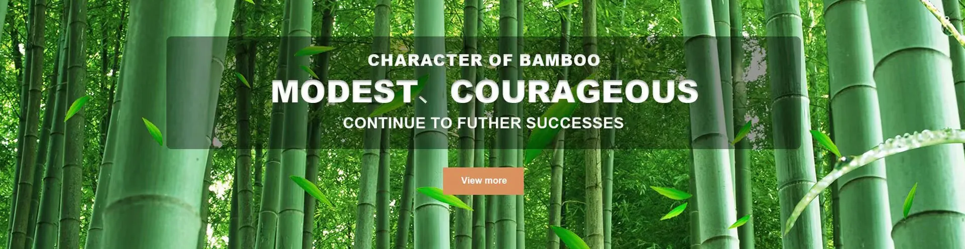 Bamboo and Wood Machinery Solutions