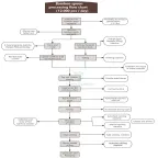 Bamboo Spoon Production Process