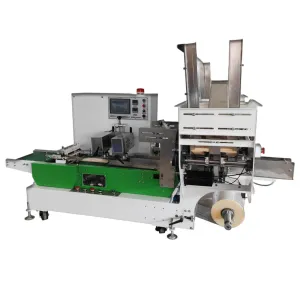 Dual-Hopper Bamboo Stick Counting, Weighing & Packaging Machine